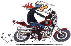 Harley 883