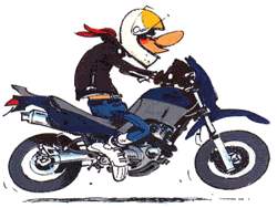 Yamaha 600 XT